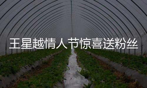 王星越情人節(jié)驚喜送粉絲玫瑰花，愛心傳遞感動無數(shù)粉絲