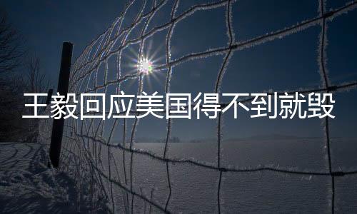 王毅回應(yīng)美國(guó)得不到就毀行為，展現(xiàn)堅(jiān)定立場(chǎng)與智慧應(yīng)對(duì)