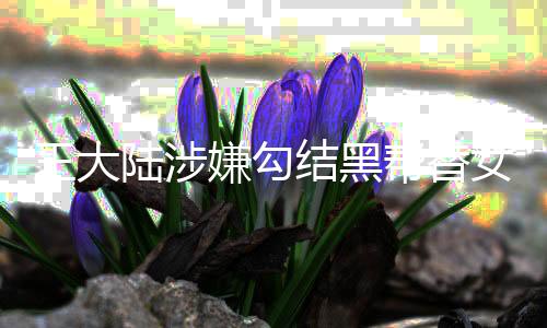 王大陸涉嫌勾結黑幫替女友討債事件調查
