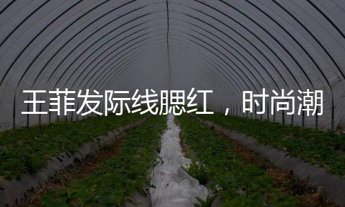 王菲發(fā)際線腮紅，時(shí)尚潮流的新焦點(diǎn)