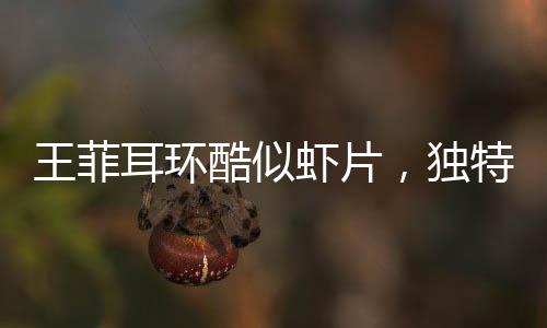 王菲耳環(huán)酷似蝦片，獨特時尚引領(lǐng)潮流