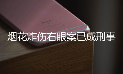 煙花炸傷右眼案已成刑事案件，案件追蹤與分析