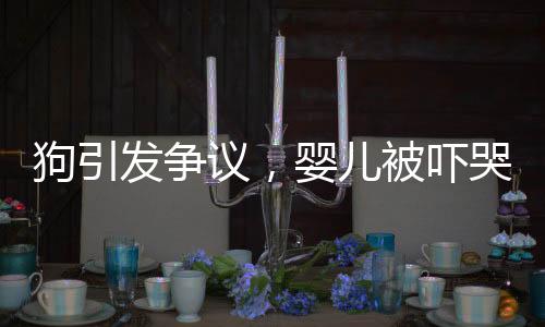 狗引發(fā)爭(zhēng)議，嬰兒被嚇哭，家長(zhǎng)驅(qū)趕遭狗主人反罵事件引發(fā)關(guān)注