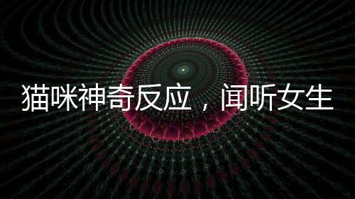 貓咪神奇反應(yīng)，聞聽女生呼喚躍上車廂