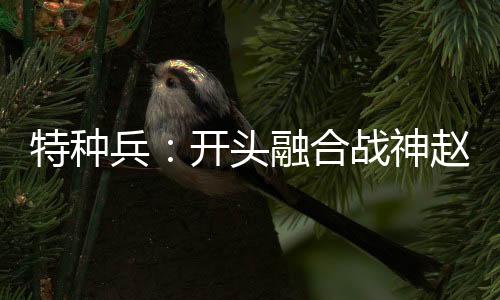 特種兵：開頭融合戰(zhàn)神趙云