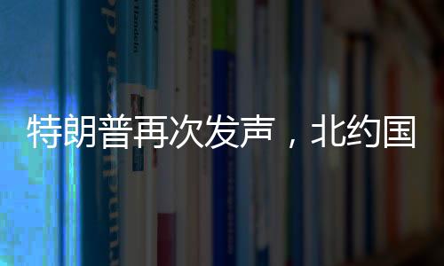 特朗普再次發(fā)聲，北約國(guó)家若不承擔(dān)費(fèi)用，將失去安全保障——重塑全球安全格局的挑戰(zhàn)與反思