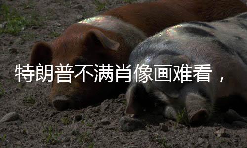 特朗普不滿肖像畫難看，引發(fā)公眾熱議