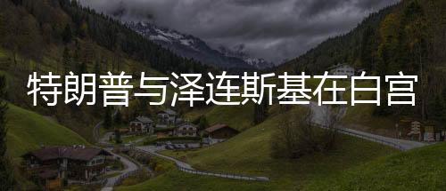 特朗普與澤連斯基在白宮上演激烈爭(zhēng)吵