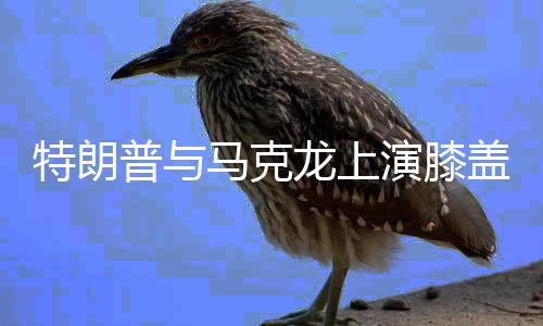 特朗普與馬克龍上演膝蓋外交，一場國際政治中的意外邂逅