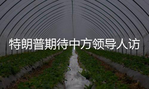 特朗普期待中方領導人訪美，中方回應