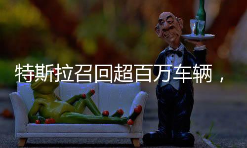 特斯拉召回超百萬車輛，大規(guī)模行動背后的安全關(guān)切