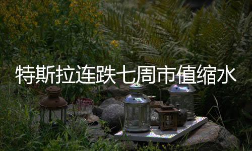 特斯拉連跌七周市值縮水逾半 馬斯克回應(yīng)引發(fā)市場熱議