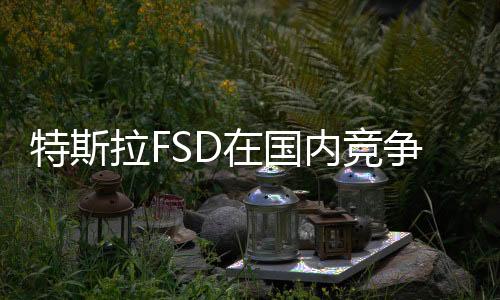 特斯拉FSD在國(guó)內(nèi)競(jìng)爭(zhēng)力如何？經(jīng)濟(jì)學(xué)者盤(pán)和林：智駕短期免費(fèi)是趨勢(shì)，長(zhǎng)期會(huì)有不同商業(yè)模式