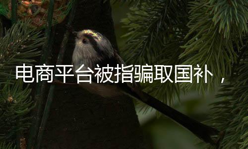 電商平臺被指騙取國補，聚焦背后的真相與反思