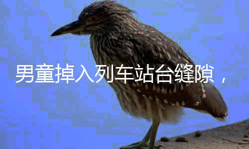 男童掉入列車(chē)站臺(tái)縫隙，緊急救援展開(kāi)
