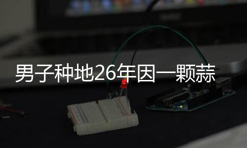 男子種地26年因一顆蒜走紅，一段堅(jiān)韌不拔的勵(lì)志故事
