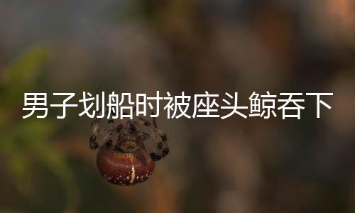男子劃船時(shí)被座頭鯨吞下后吐出，奇跡般的生存故事