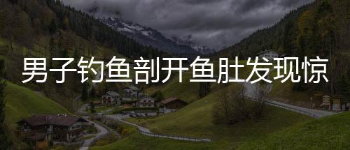 男子釣魚剖開魚肚發(fā)現(xiàn)驚人秘密，魚肚內(nèi)藏有假餌十七個(gè)