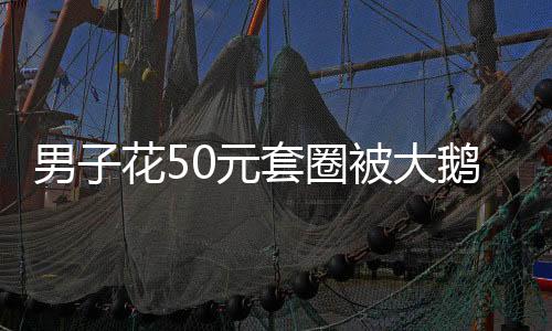 男子花50元套圈被大鵝上課——城市娛樂活動(dòng)的意外收獲