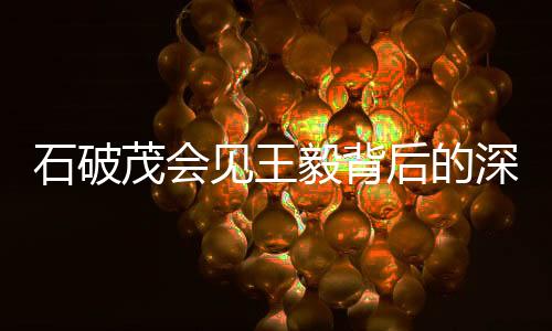石破茂會見王毅背后的深層意義與啟示