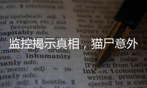 監(jiān)控揭示真相，貓尸意外發(fā)現(xiàn)引發(fā)課堂驚變