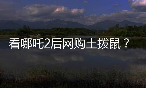 看哪吒2后網(wǎng)購?fù)翐苁螅考部匕l(fā)聲
