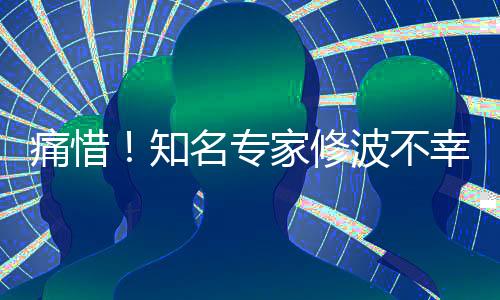 痛惜！知名專家修波不幸離世，享年XX歲，交通意外成人生終點(diǎn)