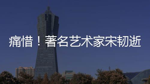 痛惜！著名藝術家宋韌逝世