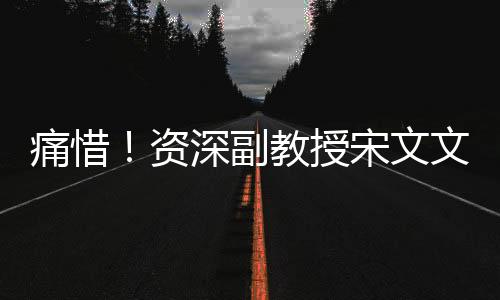痛惜！資深副教授宋文文英年早逝