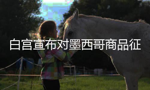 白宮宣布對墨西哥商品征收25%關(guān)稅，全球貿(mào)易局勢再掀波瀾