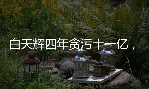 白天輝四年貪污十一億，二審維持死刑判決