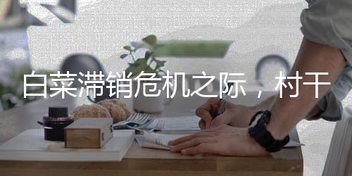 白菜滯銷危機之際，村干部呼吁免費采摘解決難題