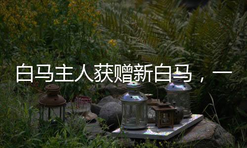 白馬主人獲贈(zèng)新白馬，一段佳話的傳承與續(xù)寫(xiě)
