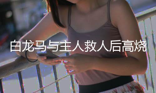 白龍馬與主人救人后高燒不退，英勇事跡感動人心
