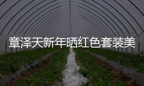 章澤天新年曬紅色套裝美照，展現(xiàn)三十風華魅力