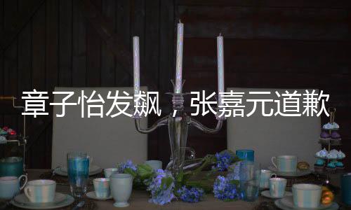章子怡發(fā)飆，張嘉元道歉——一次公眾事件的深度解讀