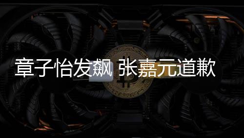 章子怡發(fā)飆 張嘉元道歉事件背后的故事分析