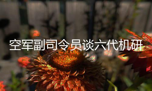 空軍副司令員談六代機(jī)研發(fā)，喜悅之情溢于言表