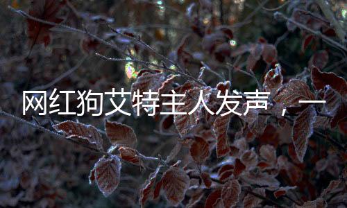 網(wǎng)紅狗艾特主人發(fā)聲，一段跨越物種的深厚情感