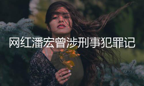 網(wǎng)紅潘宏曾涉刑事犯罪記錄，深度探究與事件回顧