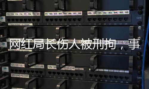 網(wǎng)紅局長(zhǎng)傷人被刑拘，事件深度解析