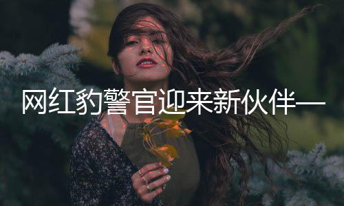 網(wǎng)紅豹警官迎來新伙伴——警隊新勢力崛起