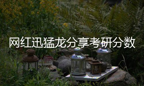 網(wǎng)紅迅猛龍分享考研分?jǐn)?shù)，勇攀學(xué)術(shù)高峰的網(wǎng)紅力量
