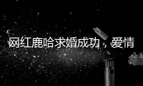 網(wǎng)紅鹿哈求婚成功，愛情的力量照亮萬千粉絲的心