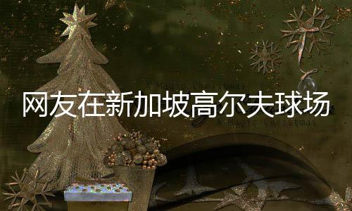網(wǎng)友在新加坡高爾夫球場偶遇馬云，商界巨頭休閑生活揭秘