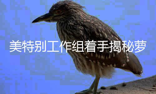 美特別工作組著手揭秘蘿莉島客戶名單內(nèi)幕