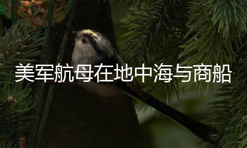 美軍航母在地中海與商船相撞事件