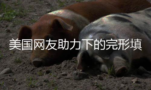 美國(guó)網(wǎng)友助力下的完形填空挑戰(zhàn)，五題錯(cuò)兩，探尋語言魅力