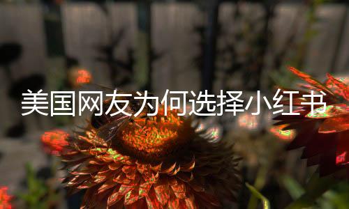 美國(guó)網(wǎng)友為何選擇小紅書(shū)？