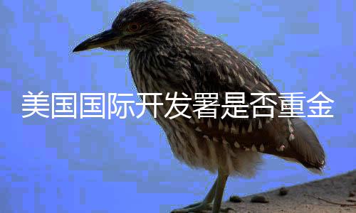 美國(guó)國(guó)際開發(fā)署是否重金收買了左媒？深度解析與探討